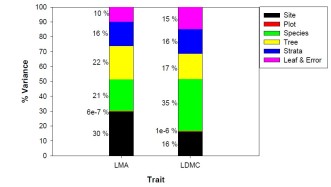 LMA LDMC % varianc across scales.png
